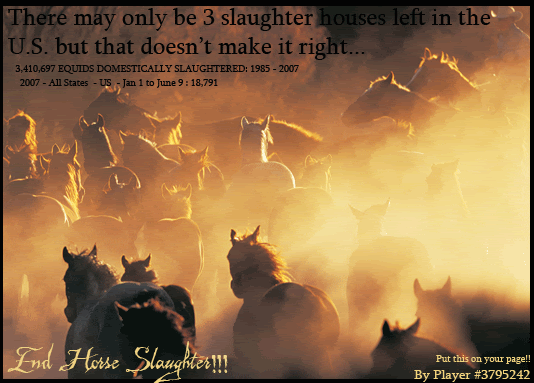 End-Slaughter.gif image by Fairfields_Lover99